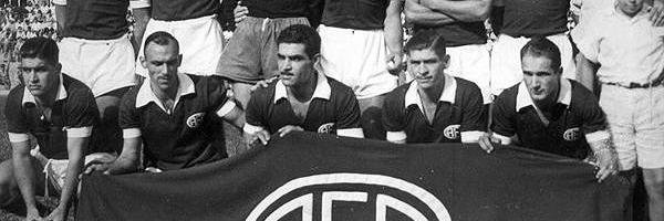 AFEnet 20 anos banner