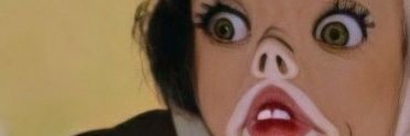 OpiiHippo's profile banner image