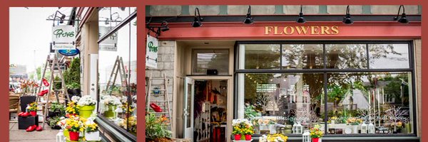 PropsFloral Profile Banner