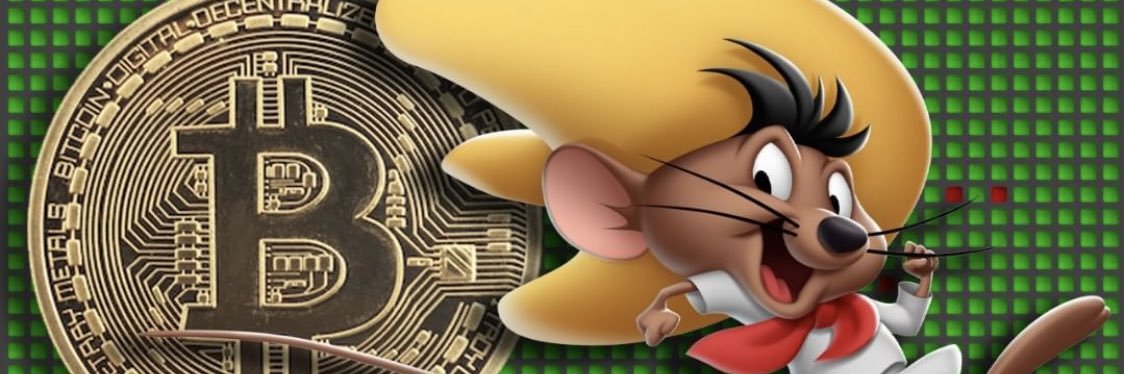 Ruff Radi banner