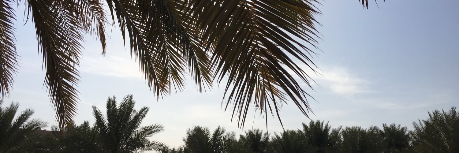 د. هدى عبد العزيز خلف ـ أقيم في حائل banner