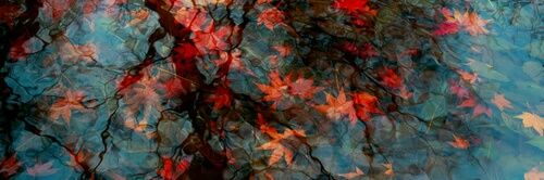 LauraCastrilloo's profile banner image