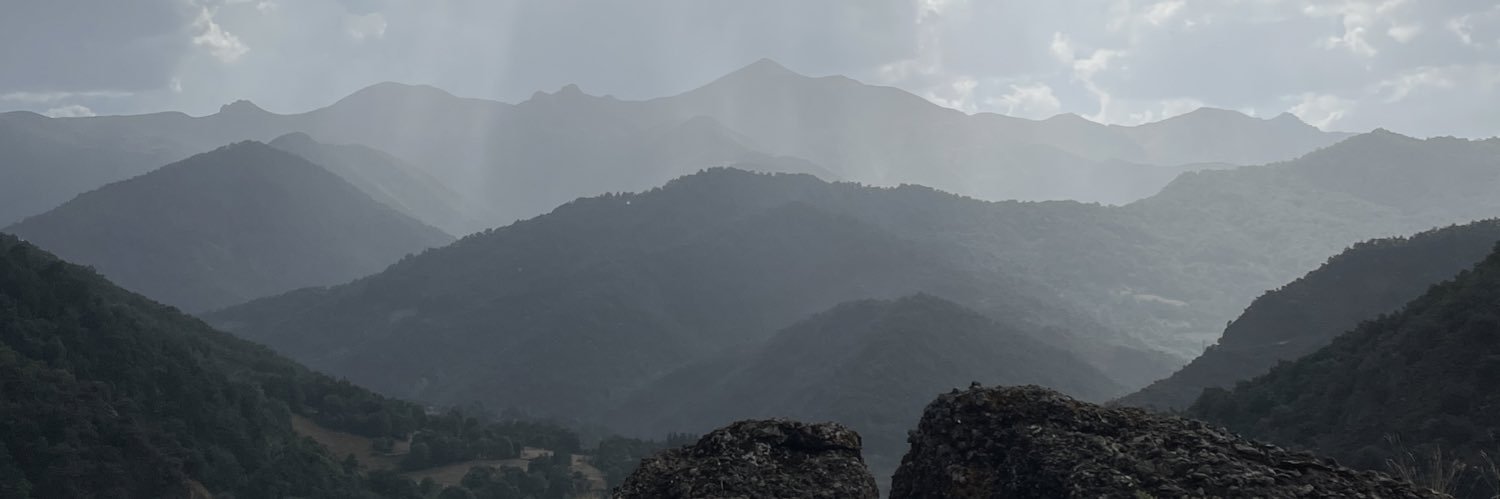 bertodvv's profile banner image