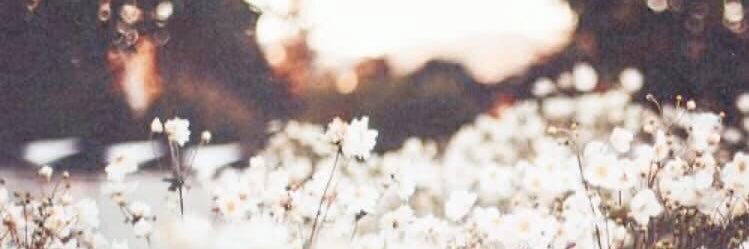 NoumieGirl's profile banner image