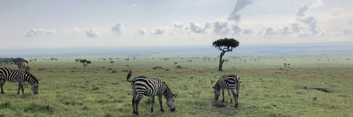 Dejan K Filipas banner