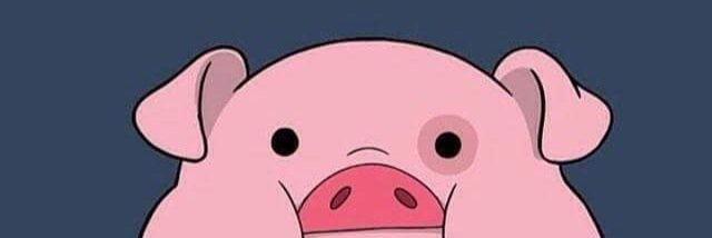analamaria's profile banner image