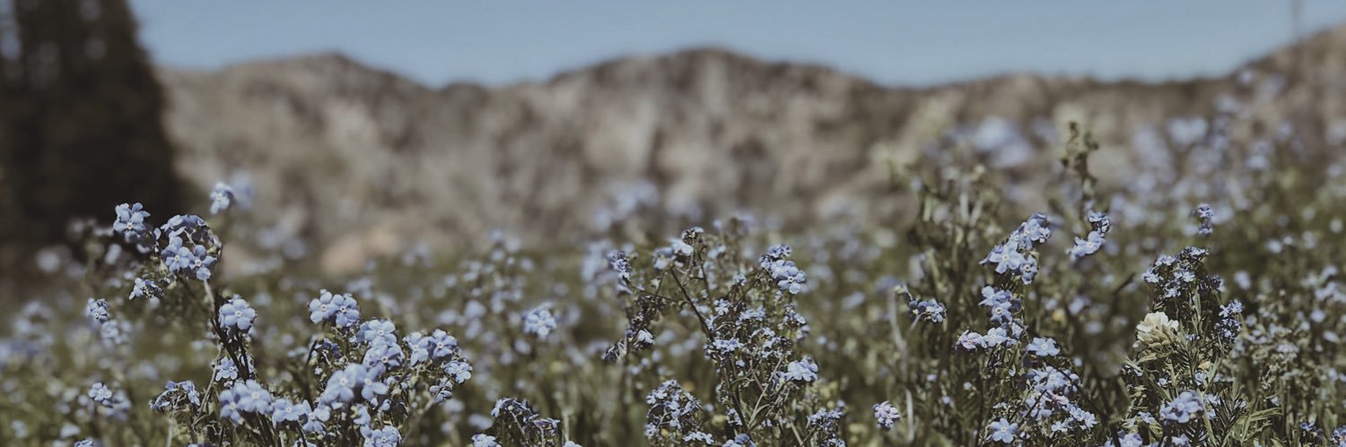 Athena__22's profile banner image