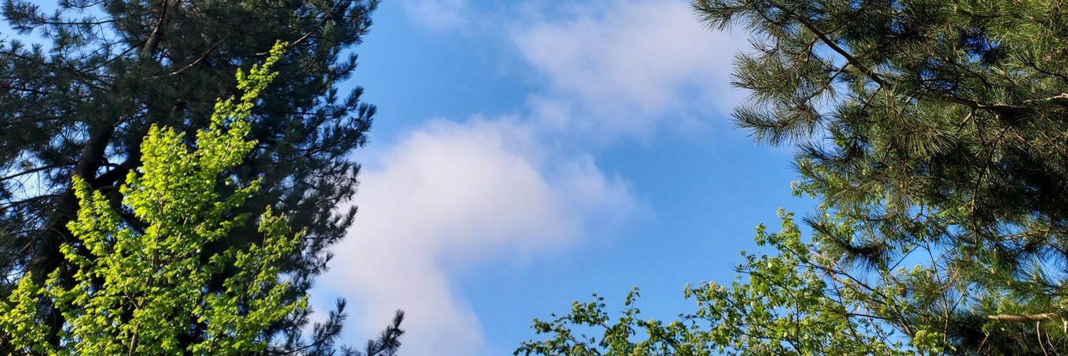 simone_heil97's profile banner image