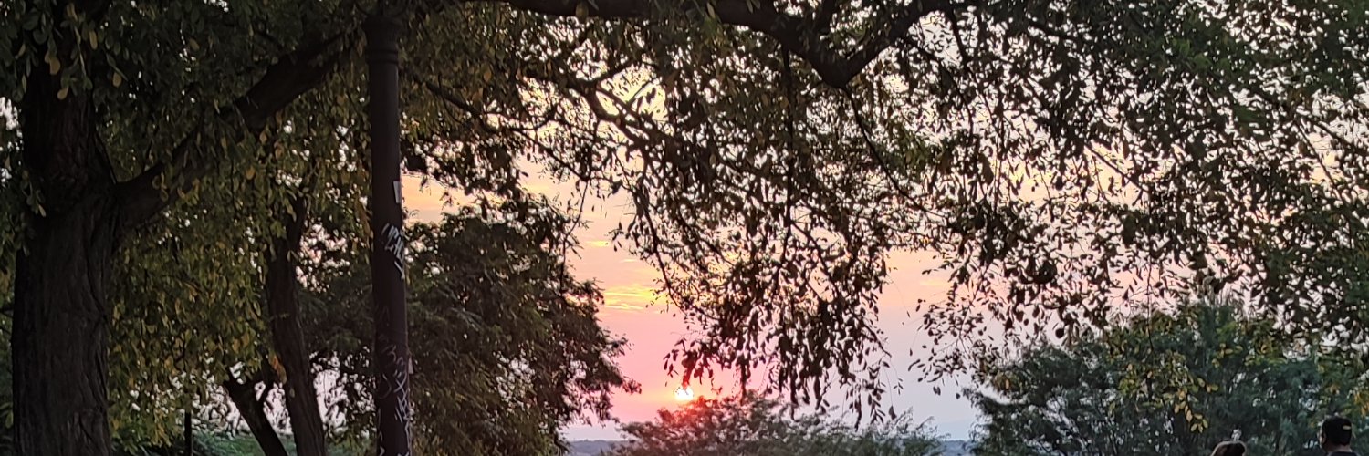 vespertine88's profile banner image