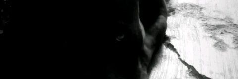 Alexsotoo7's profile banner image