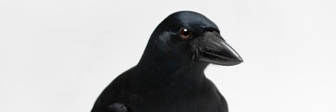 thelindalamb's profile banner image