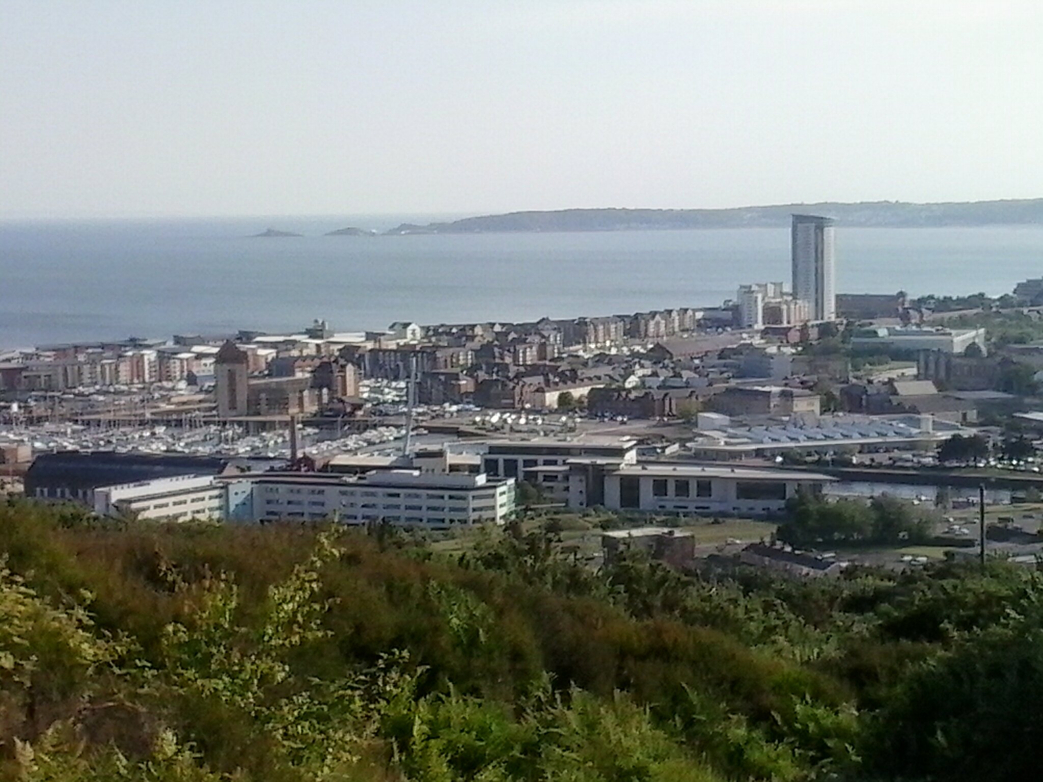 James Scannell banner