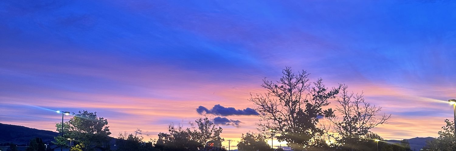 Alexisbooo's profile banner image