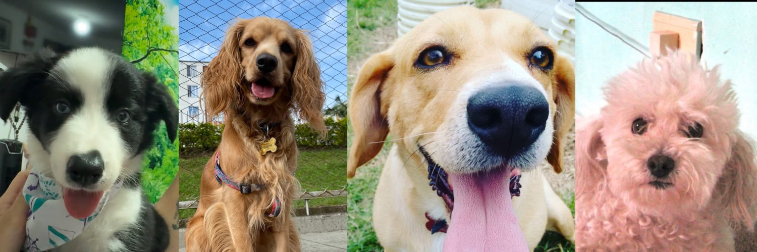 Tati Cardozo💛❤️ banner