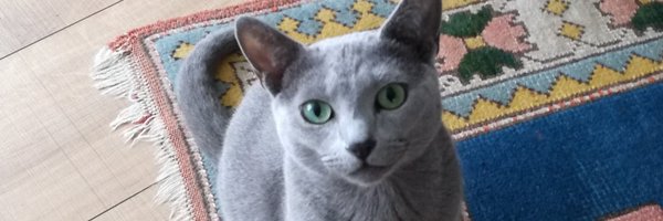 MariekeO_79 Profile Banner