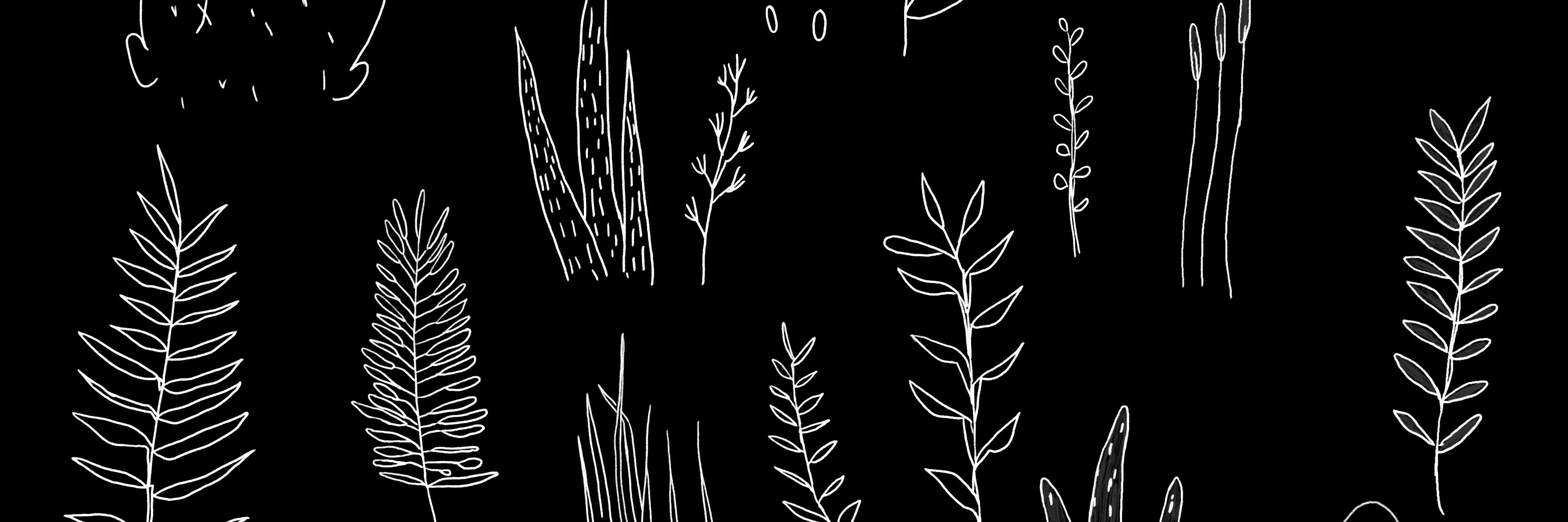 SwartStephanie's profile banner image