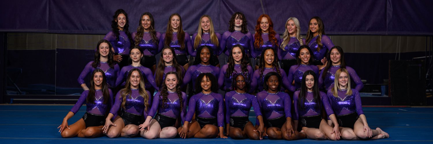 UB Gymnastics banner