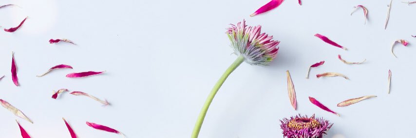 _ayeeda's profile banner image