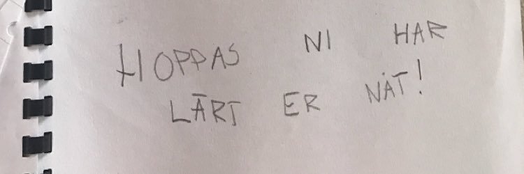 Olivia Ryberg banner