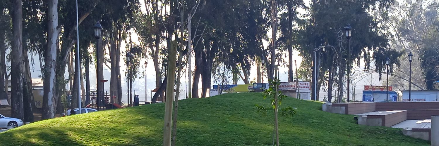 Beniciafaco's profile banner image