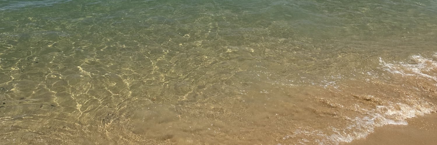Prizinha_'s profile banner image
