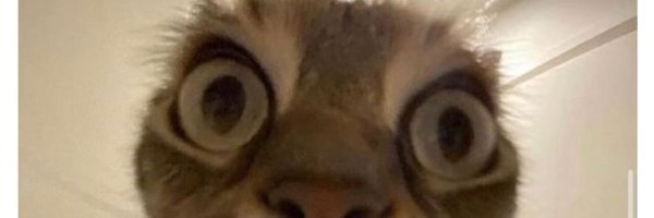 AnnSy83 Profile Banner