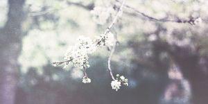 brona_7's profile banner image