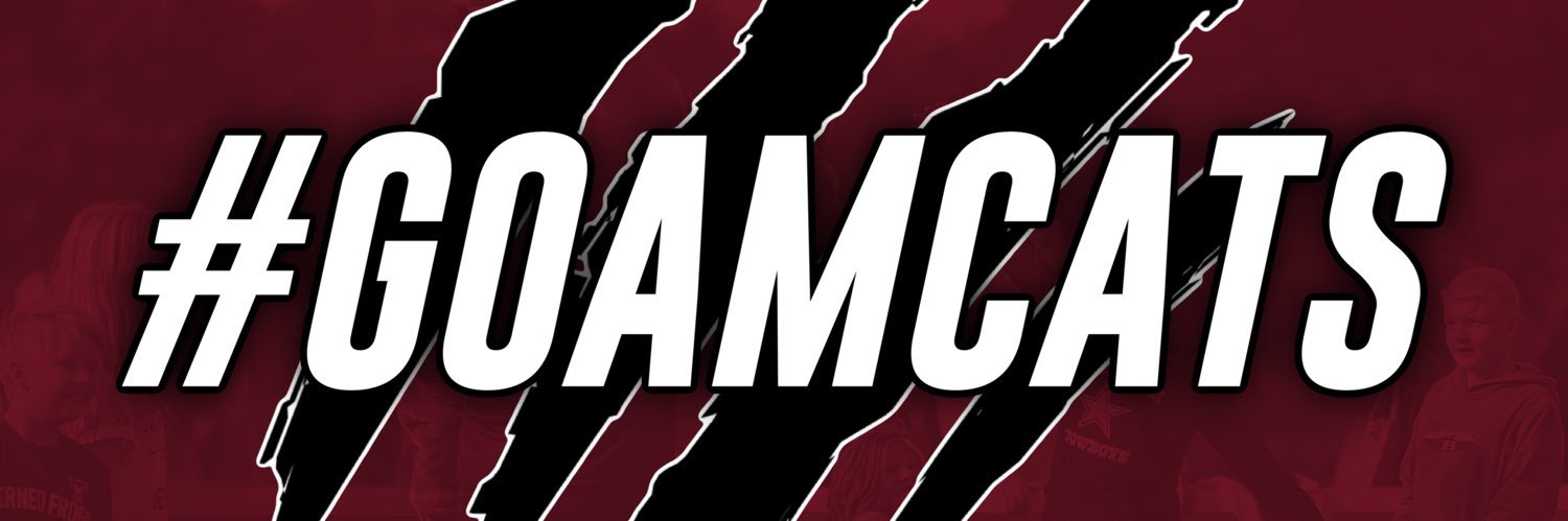 Anna Maria College Athletics banner