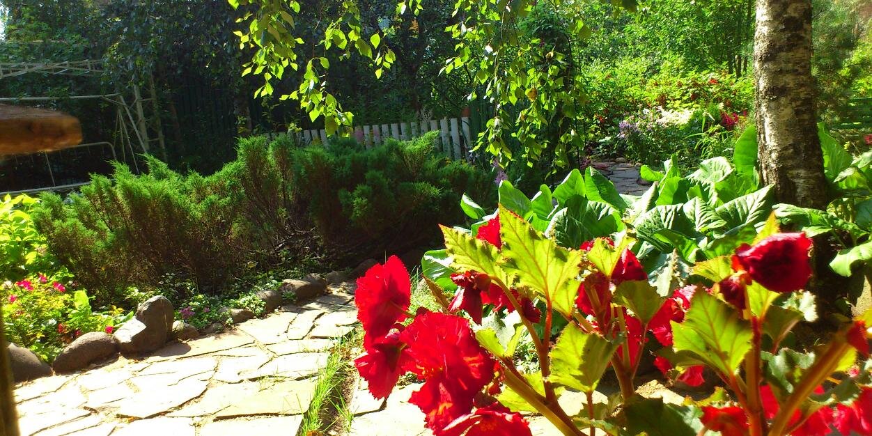 barbomur's profile banner image