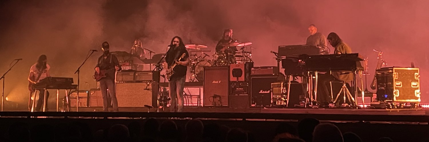 Peter Duddy 🌳 banner