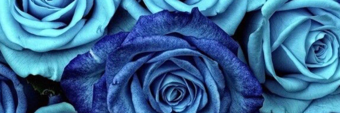 karinarenee83's profile banner image