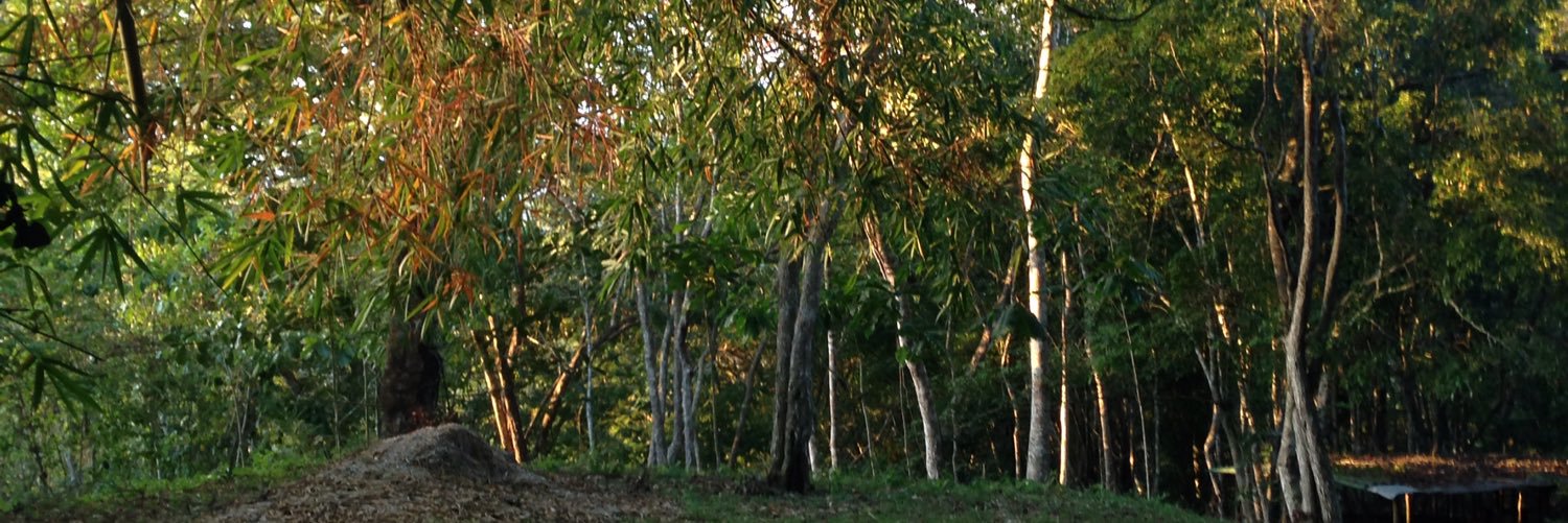 omacoro's profile banner image