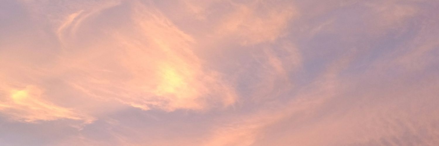 nitinister's profile banner image