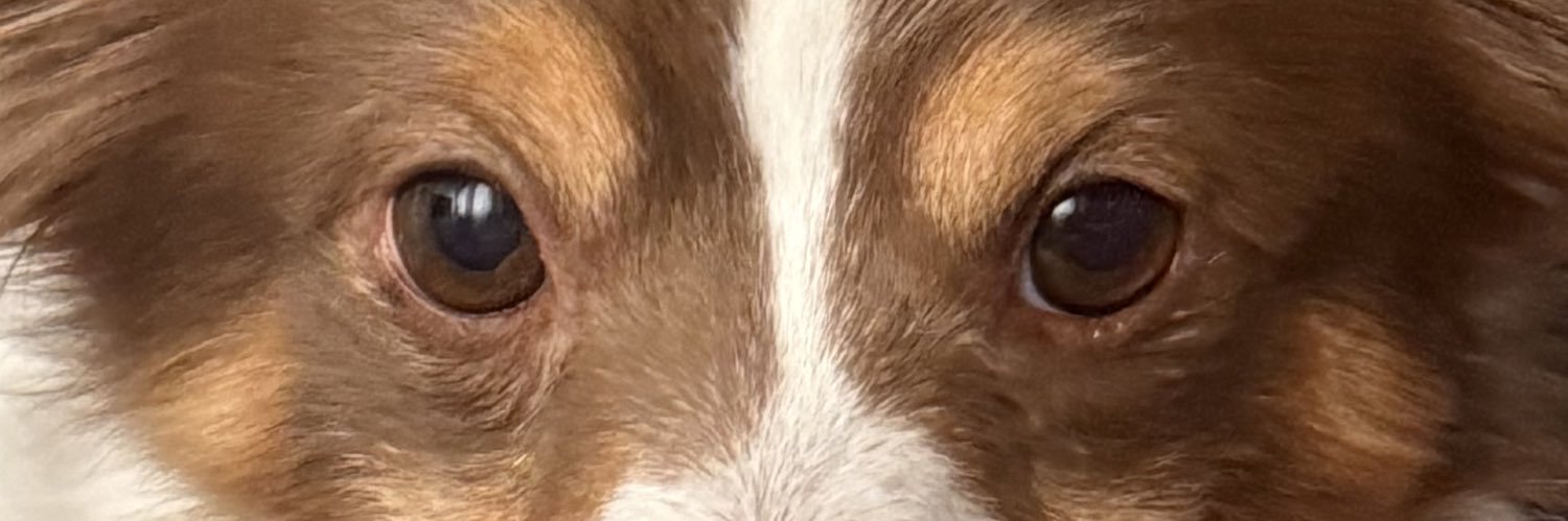 Aytha🇮🇨 banner