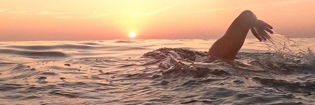 Dídac Moreno banner