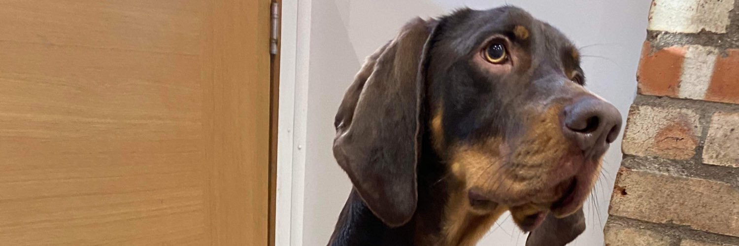 KayJay🔰🦥 banner