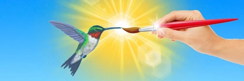 Frank Strasser banner