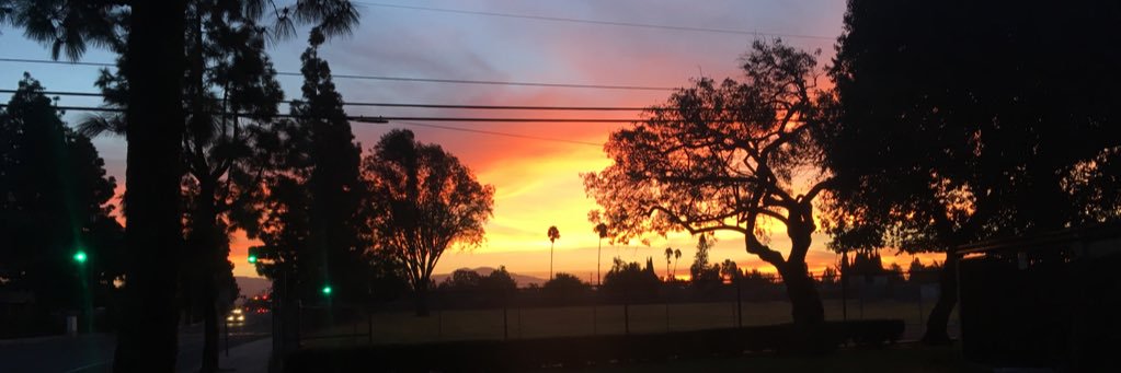 ThaRealChrisCox's profile banner image
