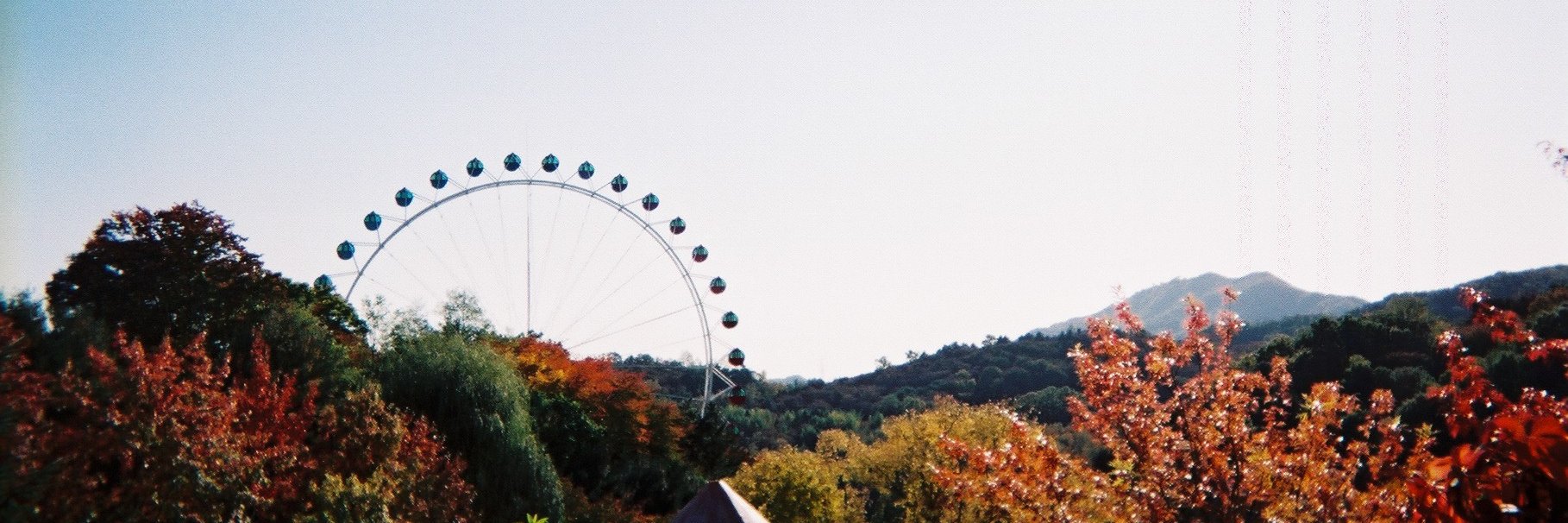 xcerx's profile banner image