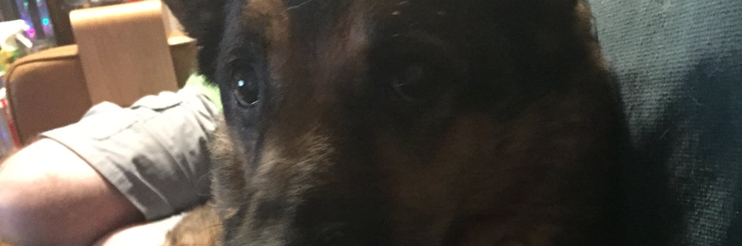sassygrrl1's profile banner image