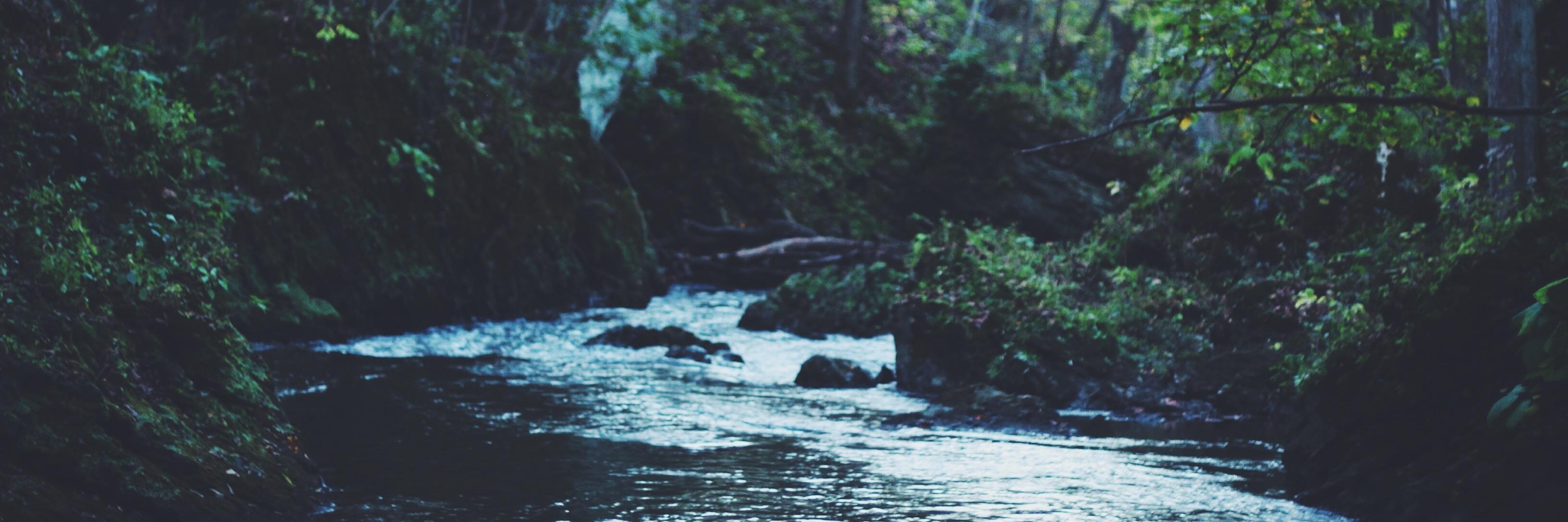 ShelleyTran's profile banner image