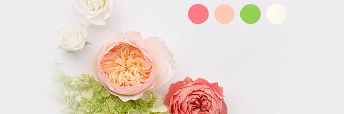 attolah2002's profile banner image