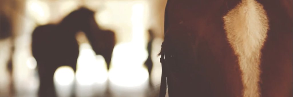 Samantha Senft banner