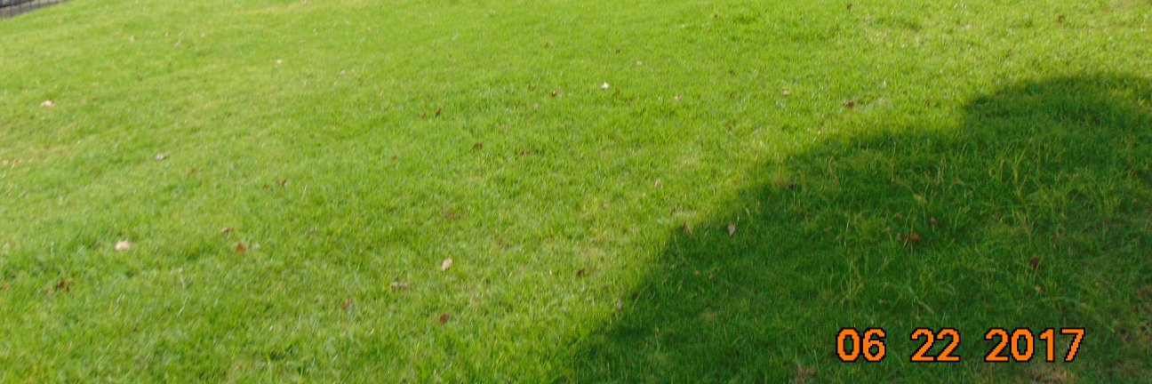 MiguelR2013's profile banner image