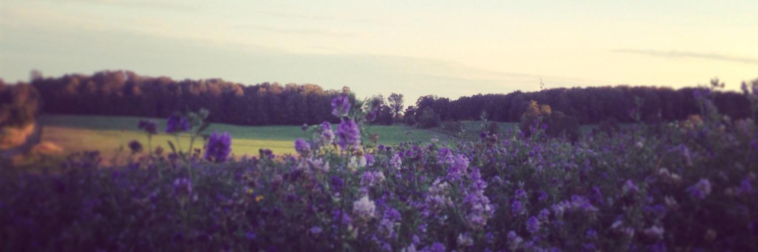 ErinColee's profile banner image