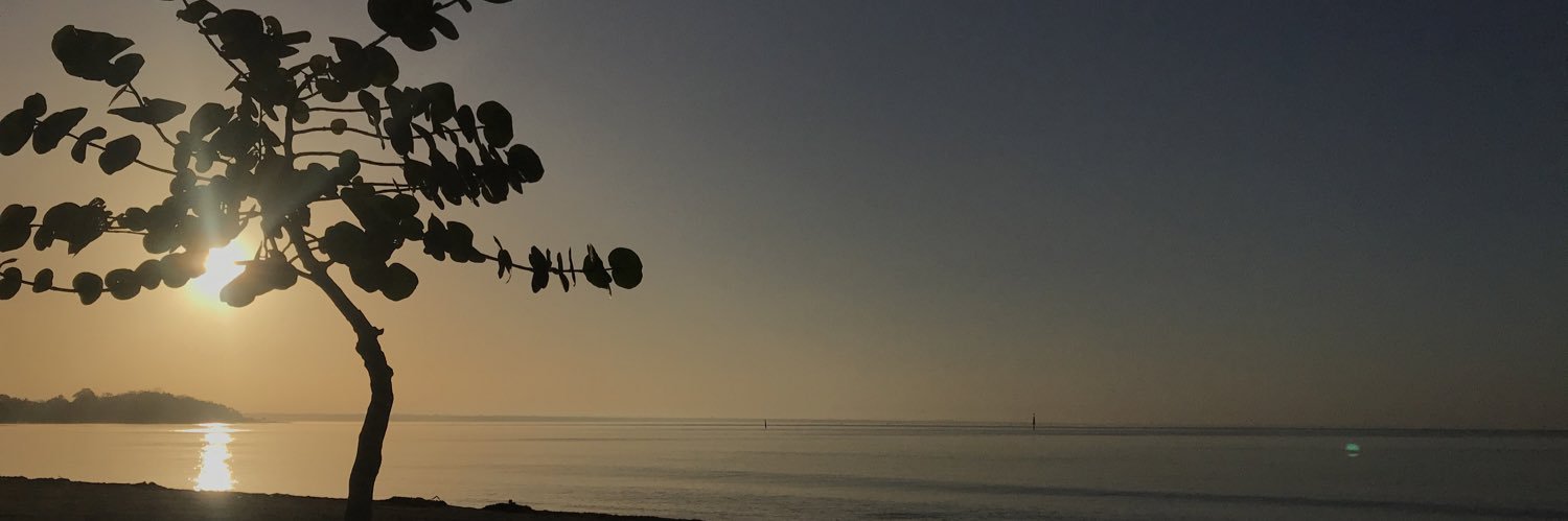 DavidSullivann's profile banner image
