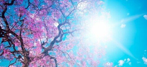 _hayleeD's profile banner image