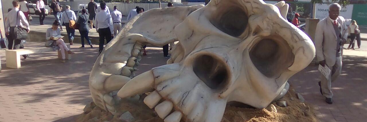 #BoboTheThinker banner