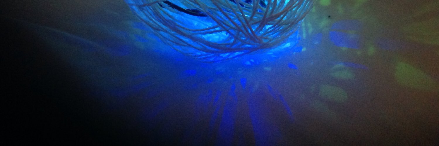SarahTotaRDB's profile banner image