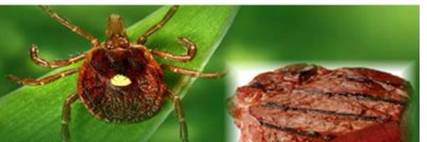 theticklab Profile Banner